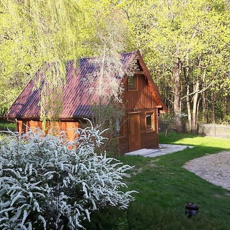 Bakusiowy Zakatek Appartement Lipowo Kurkowskie Buitenkant foto