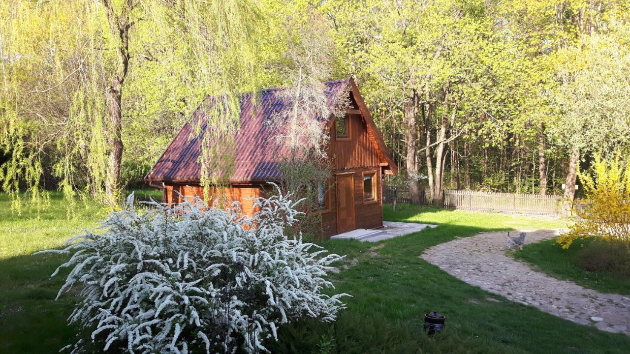 Bakusiowy Zakatek Appartement Lipowo Kurkowskie Buitenkant foto
