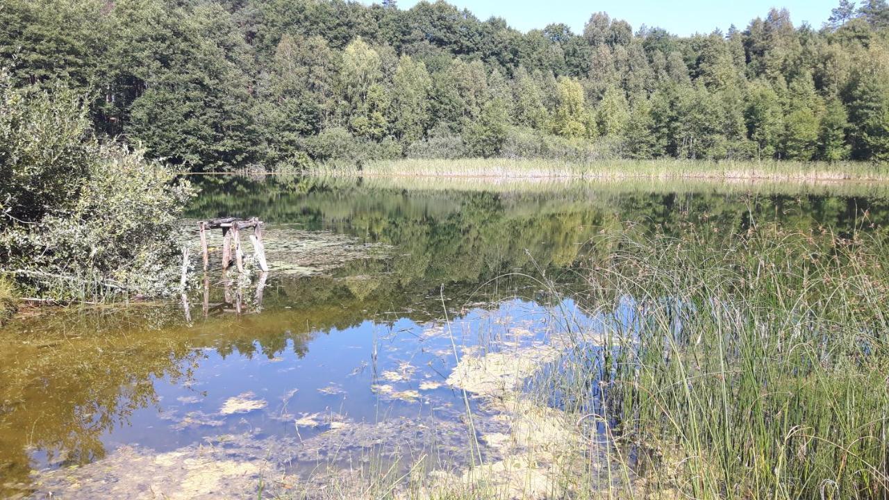Bakusiowy Zakatek Appartement Lipowo Kurkowskie Buitenkant foto