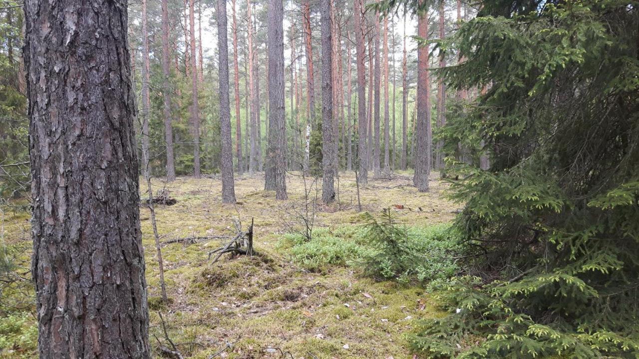 Bakusiowy Zakatek Appartement Lipowo Kurkowskie Buitenkant foto